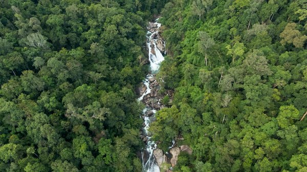 Les vis à bois : guide d'achat et astuces incontournables