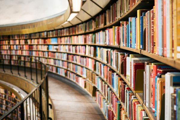 Les tendances actuelles de la littérature : ce qui est populaire aujourd'hui